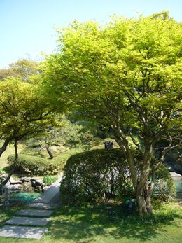 e0100046_21364733.jpg