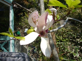 e0100046_21372561.jpg