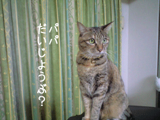 f0116546_22114916.gif