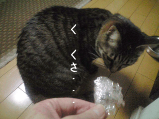 f0116546_22122788.gif