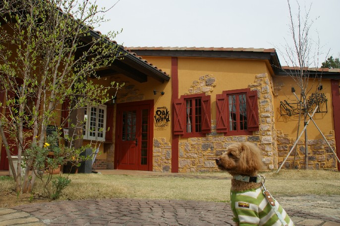 b0140347_21234293.jpg