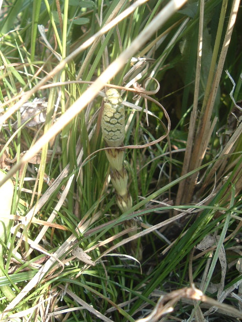 f0088647_2304250.jpg