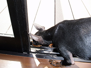c0123149_1520679.jpg