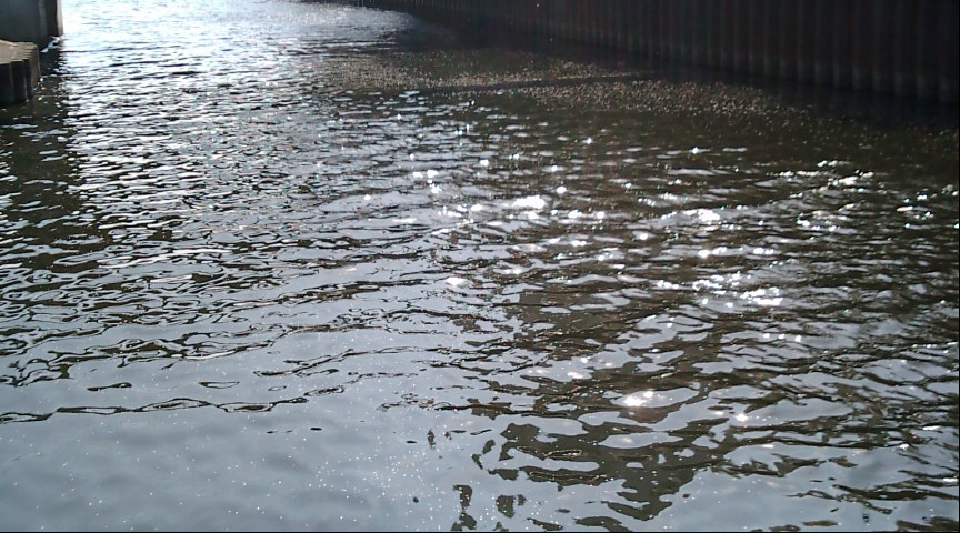 f0150151_20413310.jpg