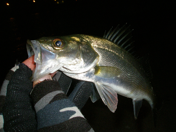 f0150151_20415928.jpg