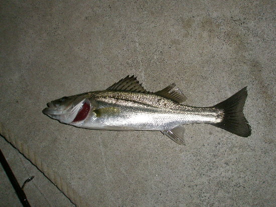f0150151_21261177.jpg