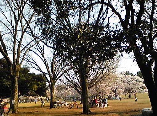 f0082052_13584587.jpg