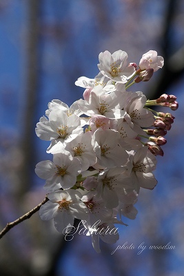 b0102560_9393984.jpg