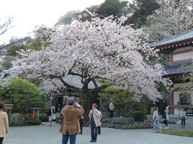 b0141664_0312661.jpg