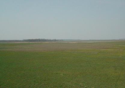 f0029365_7373090.jpg