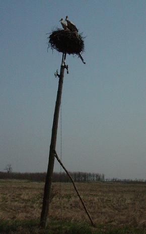 f0029365_852827.jpg