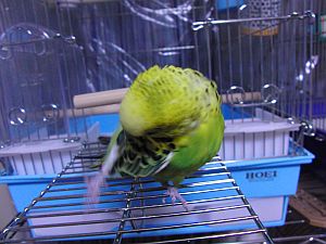 f0196665_037372.jpg