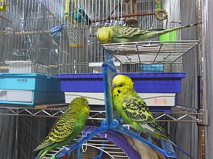 f0196665_0434244.jpg