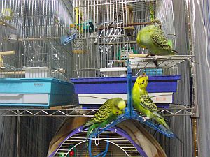 f0196665_0514211.jpg