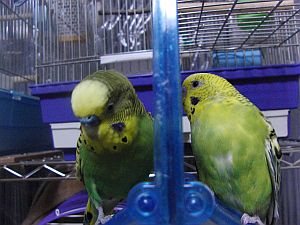 f0196665_0592074.jpg