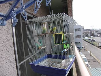 f0196665_23291546.jpg