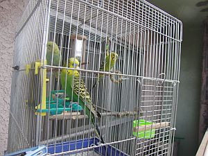 f0196665_23322443.jpg