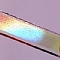 b0031166_23454578.jpg