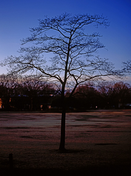 c0132466_11194091.jpg