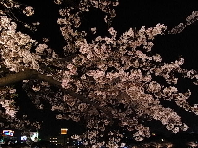 b0068067_13204616.jpg