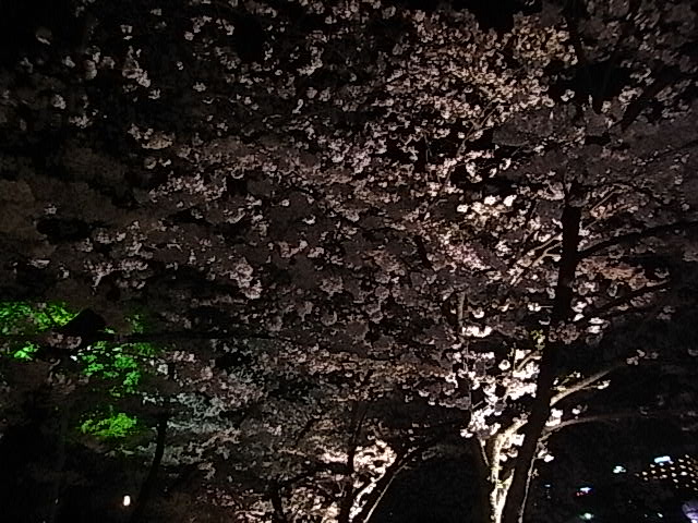 b0068067_13211139.jpg
