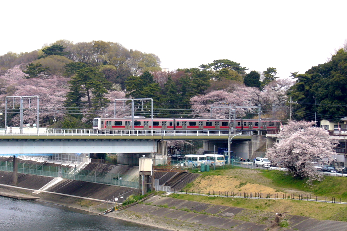 a0058669_23573423.jpg
