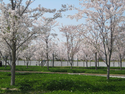 c0117570_14545657.jpg