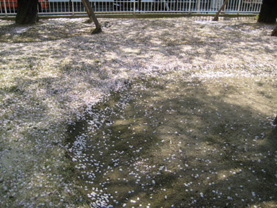 c0117570_14574890.jpg