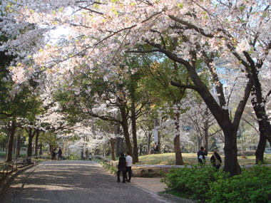 b0091373_05120100.jpg
