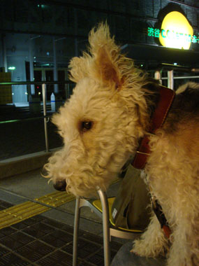 b0091373_051473.jpg