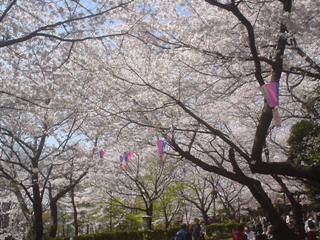 b0069175_21414813.jpg