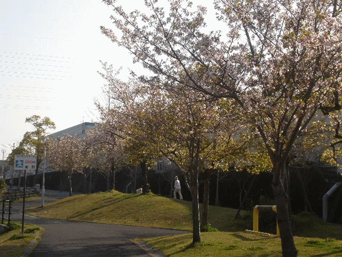 e0077875_10134463.gif