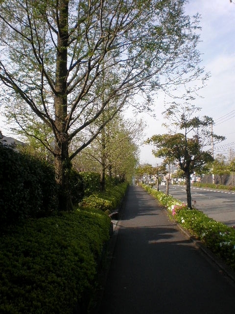 e0077875_10172015.jpg