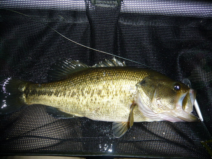 a0040876_0475122.jpg