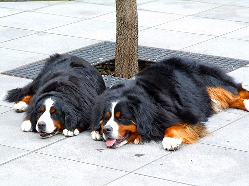 c0149178_10141285.jpg