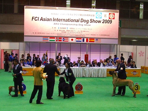 c0149178_10142528.jpg