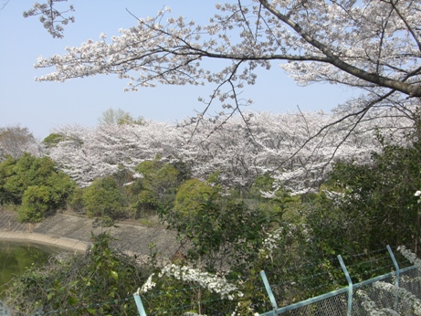 f0116278_183037.jpg