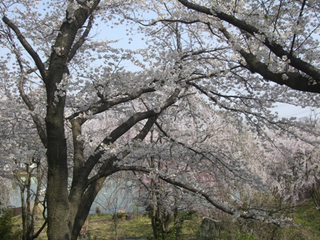 f0116278_194821.jpg