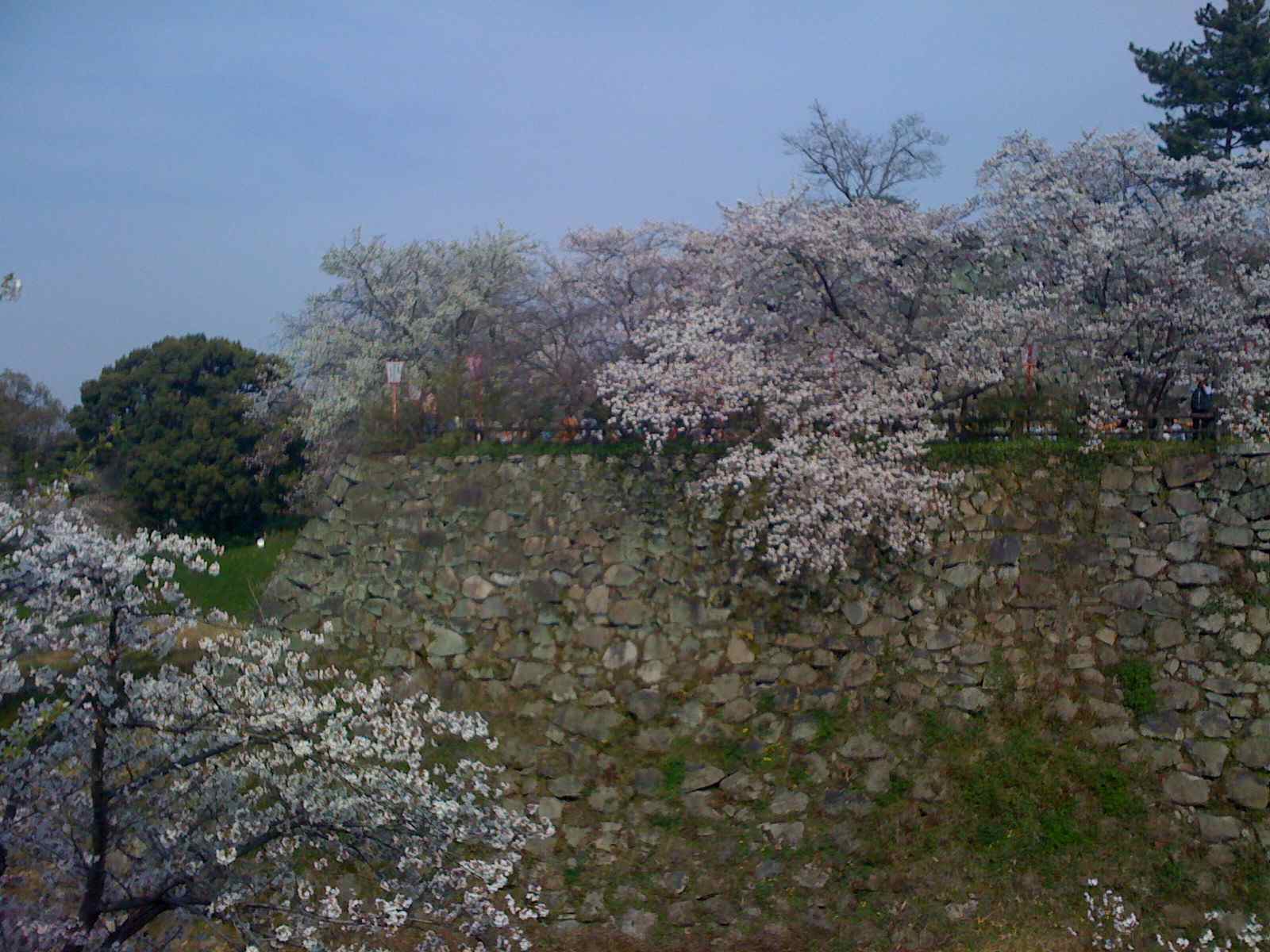 a0021482_9491260.jpg