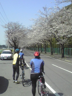 c0096582_12175620.jpg