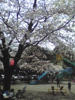 c0096582_1218515.jpg