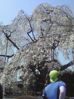 c0096582_1225340.jpg