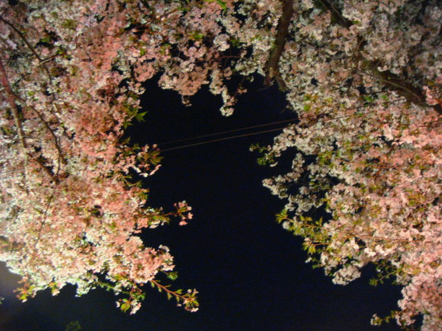 e0154682_23221319.jpg