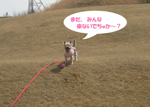 e0066883_22124191.gif