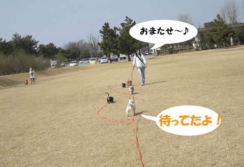 e0066883_22174522.gif