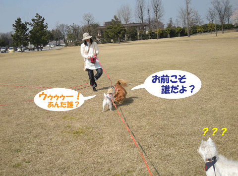 e0066883_22245284.gif