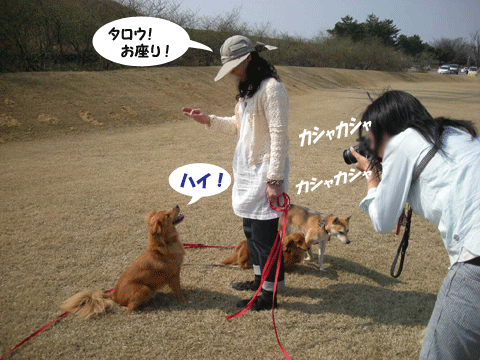 e0066883_22261286.gif