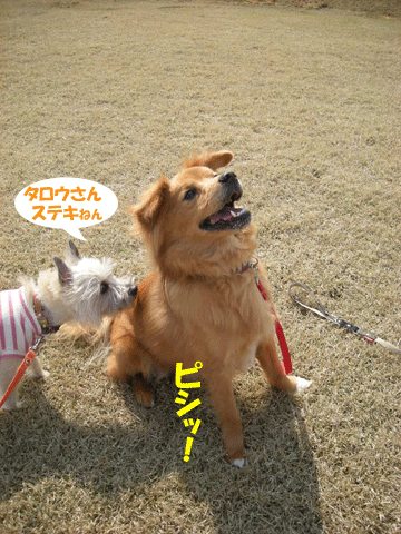 e0066883_22311675.gif