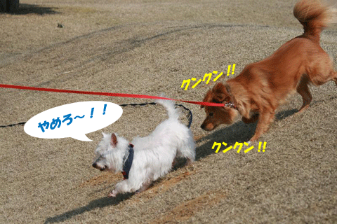 e0066883_22355280.gif