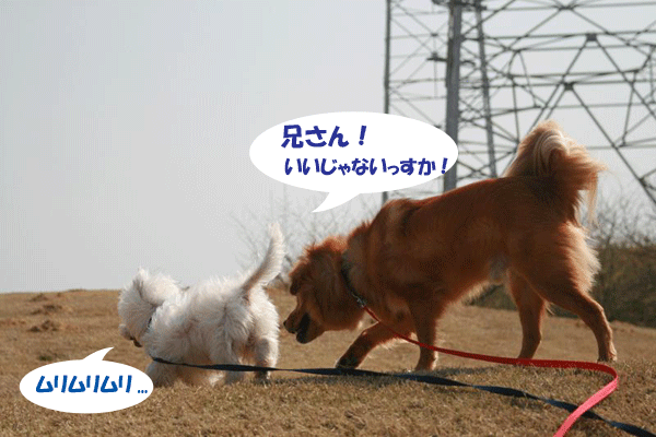 e0066883_22362663.gif